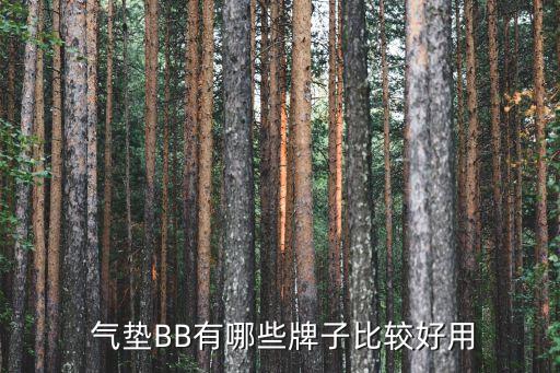  气垫BB有哪些牌子比较好用