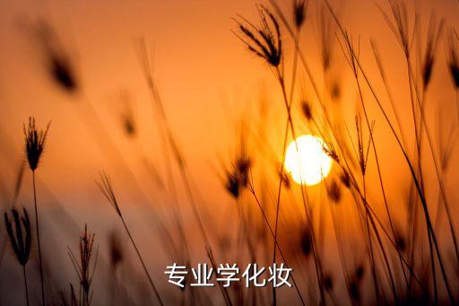 专业学化妆