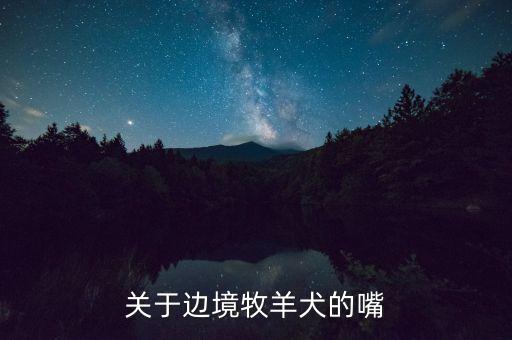 关于边境牧羊犬的嘴