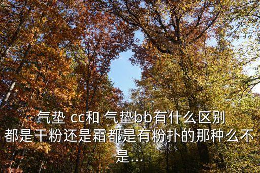  气垫 cc和 气垫bb有什么区别都是干粉还是霜都是有粉扑的那种么不是...