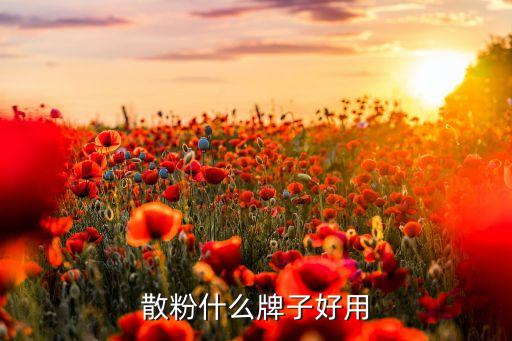 散粉什么牌子好用