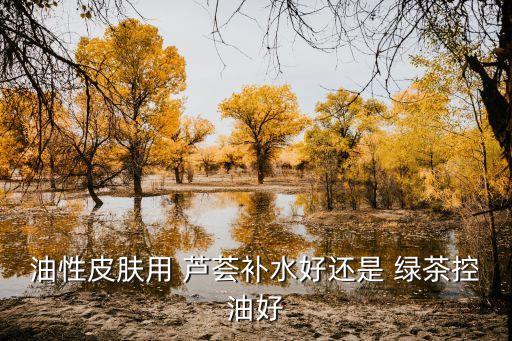 油性皮肤用 芦荟补水好还是 绿茶控油好