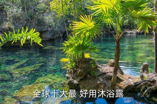 全球十大最 好用沐浴露