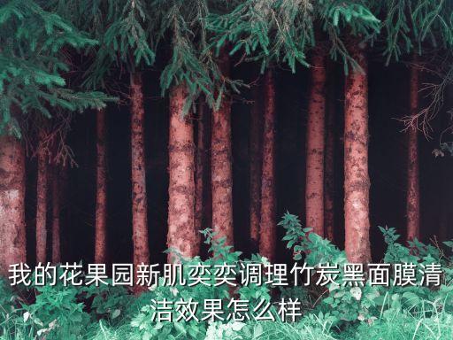我的花果园新肌奕奕调理竹炭黑面膜清洁效果怎么样