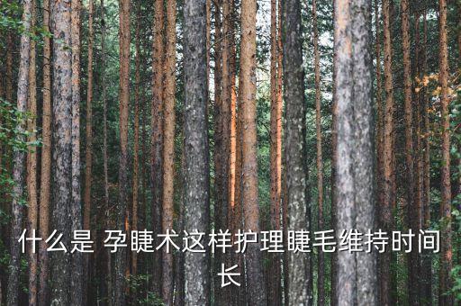 什么是 孕睫术这样护理睫毛维持时间长