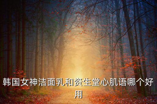 韩国女神洁面乳和资生堂心肌语哪个好用