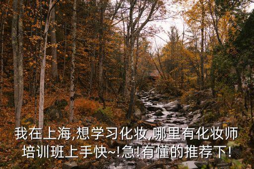 我在上海,想学习化妆,哪里有化妆师培训班上手快~!急!有懂的推荐下!