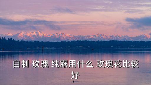平阴玫瑰纯露效果怎么样,山东平阴玫瑰纯露怎么样