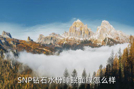 SNP钻石水份睡眠面膜怎么样