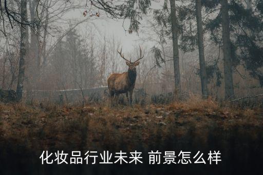 化妆品行业未来 前景怎么样