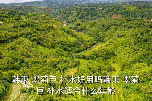 韩束 墨菊巨 补水好用吗韩束 墨菊巨 补水适合什么年龄