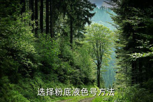 选择粉底液色号方法