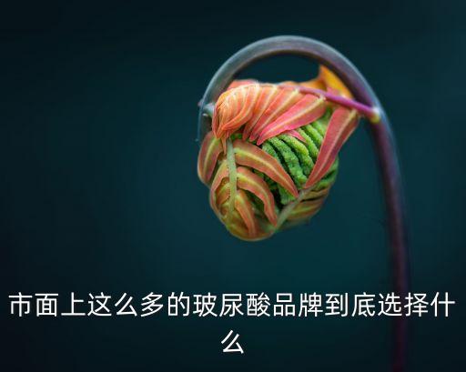 市面上这么多的玻尿酸品牌到底选择什么