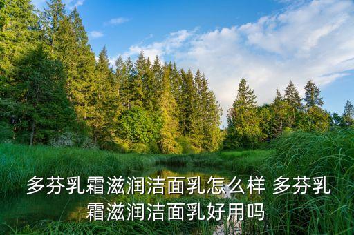  多芬乳霜滋润洁面乳怎么样 多芬乳霜滋润洁面乳好用吗