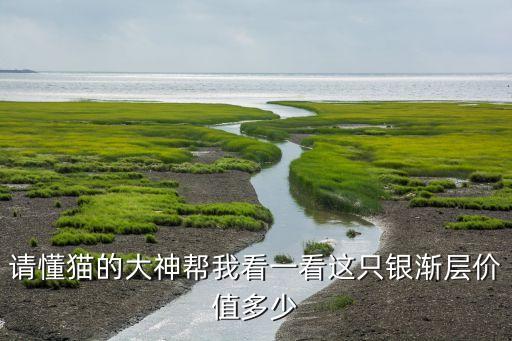 请懂猫的大神帮我看一看这只银渐层价值多少