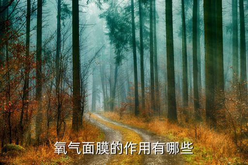 氧气面膜的作用有哪些