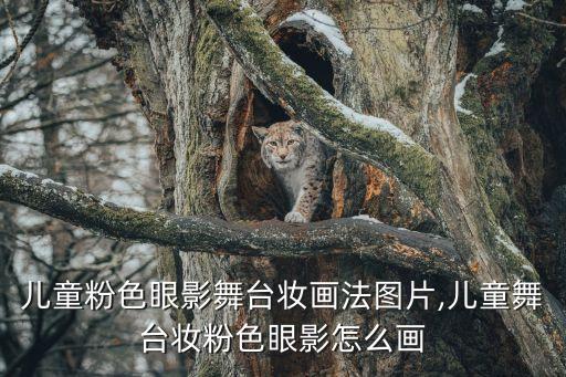 儿童粉色眼影舞台妆画法图片,儿童舞台妆粉色眼影怎么画
