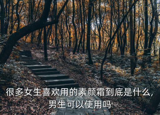 很多女生喜欢用的素颜霜到底是什么,男生可以使用吗
