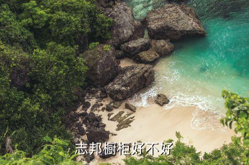 咏花集产品怎么样,《桃花·柳花歌》赏析