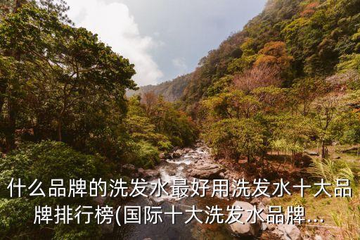 什么品牌的洗发水最好用洗发水十大品牌排行榜(国际十大洗发水品牌...