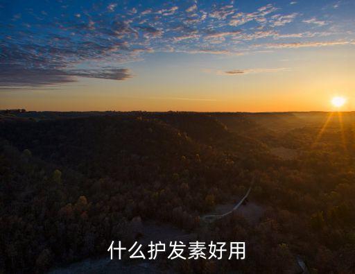 护发剂哪个好用吗,十大最佳护发素排行榜