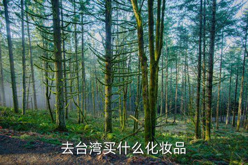 去台湾买什么化妆品