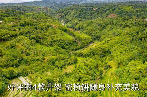 补妆控油蜜粉饼什么牌子好