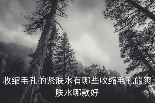 收缩毛孔的紧肤水有哪些收缩毛孔的爽肤水哪款好