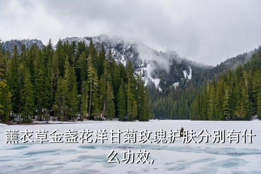 哪些护肤品原材料是玫瑰,中国的护肤品原料有哪些不是日本的？