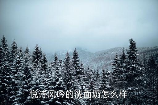 悦诗风吟的洗面奶怎么样