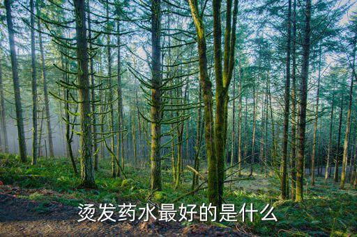 烫发药水最好的是什么