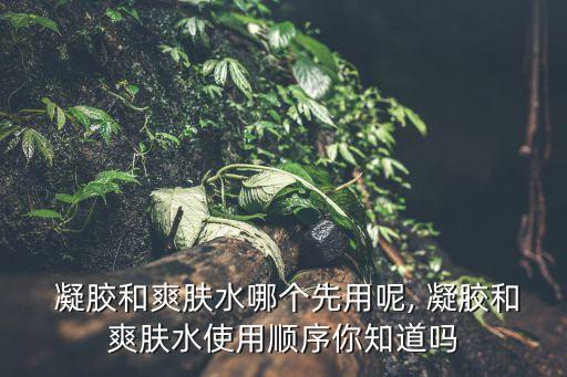  凝胶和爽肤水哪个先用呢, 凝胶和爽肤水使用顺序你知道吗