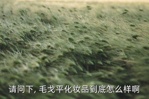 毛戈平面霜怎么样
