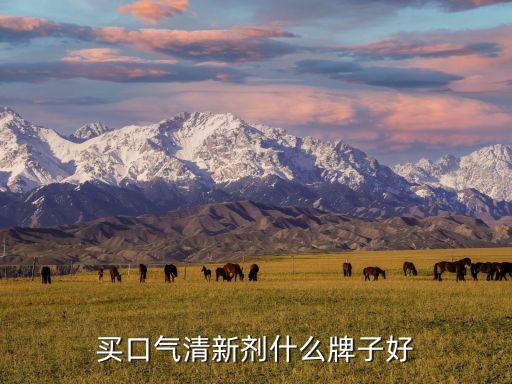 口气清新喷雾哪里批发,益生菌口气清新喷雾怎么用？
