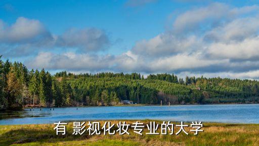 有 影视化妆专业的大学
