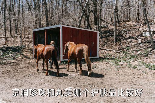 京润珍珠和丸美哪个护肤品比较好