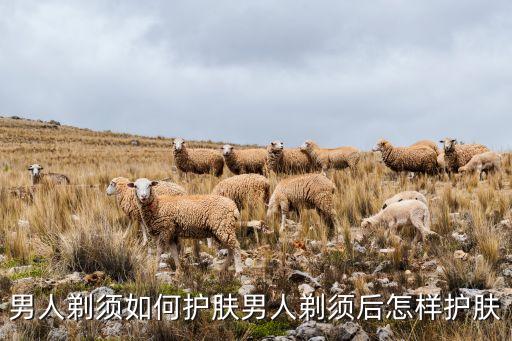 男人剃须如何护肤男人剃须后怎样护肤