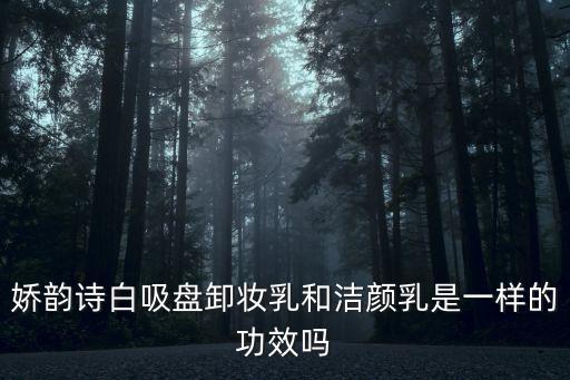 洁颜乳有什么用,颜乳有什么作用