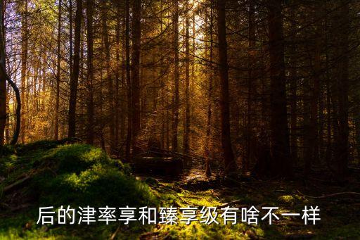 后的津率享和臻享级有啥不一样