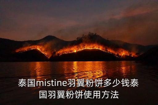 泰国mistine羽翼粉饼多少钱泰国羽翼粉饼使用方法