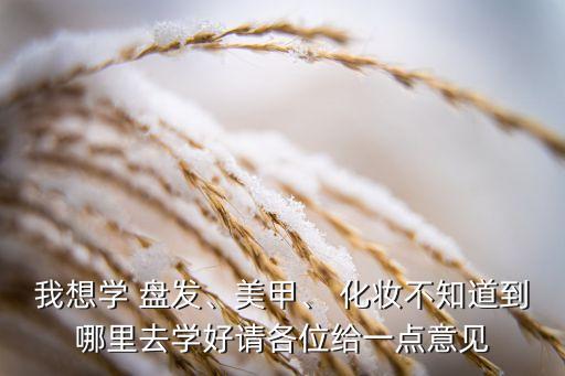 我想学 盘发、美甲、 化妆不知道到哪里去学好请各位给一点意见