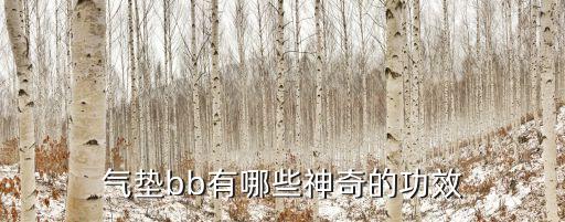 dodo气垫bb霜怎么样,气垫bb霜好用吗?不建议天天涂