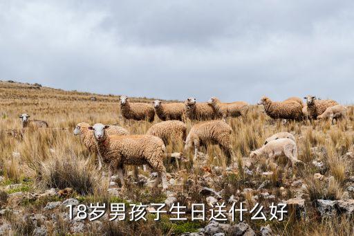 18岁用什么香水,18岁男生和18岁女孩适合用什么香水?