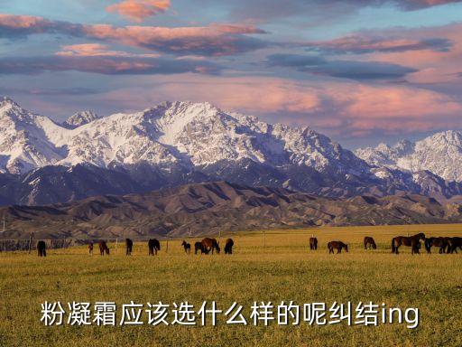 粉凝霜应该选什么样的呢纠结ing