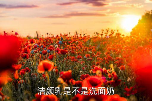 洁颜乳是不是洗面奶