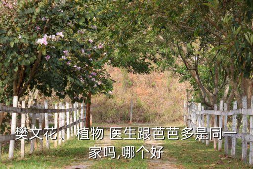 樊文花、 植物 医生跟芭芭多是同一家吗,哪个好