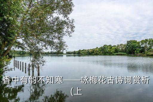 香中有韵不知寒——咏梅花古诗词赏析(上