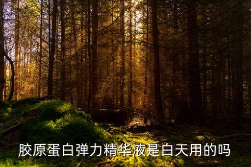 胶原蛋白弹力精华液是白天用的吗
