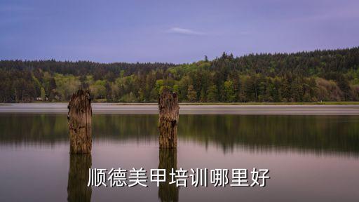 顺德美甲培训哪里好
