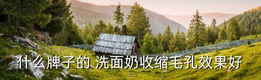 什么牌子的 洗面奶收缩毛孔效果好